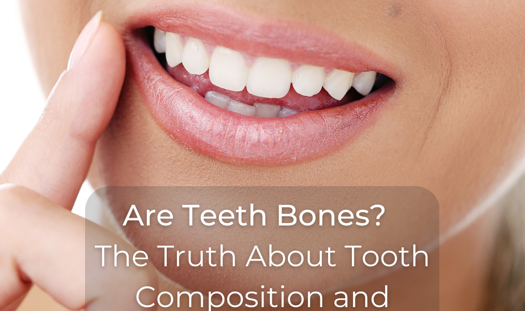 Are Teeth Bones?  The Truth About Tooth Composition and Anatomy