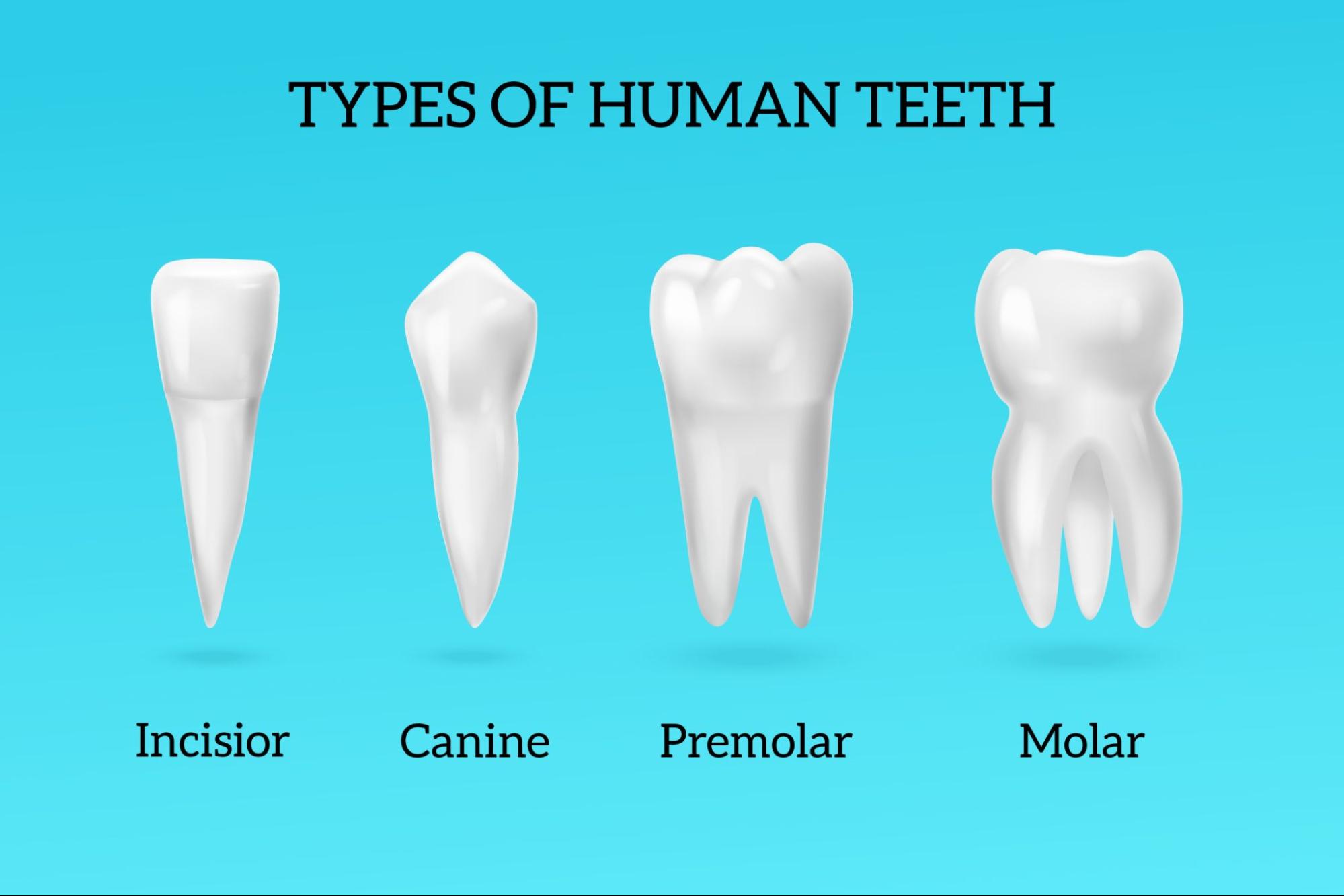 https://droitwichdentalstudio.co.uk/wp-content/uploads/2024/06/image2.jpg